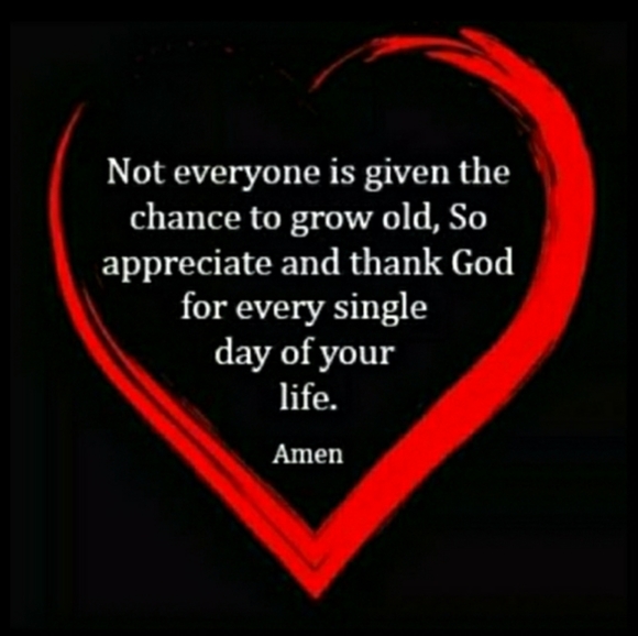 👖Wrangler High Rise Jeans 7 Regular - Picture 13 of 16